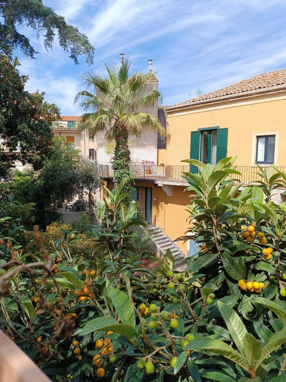 Garden view