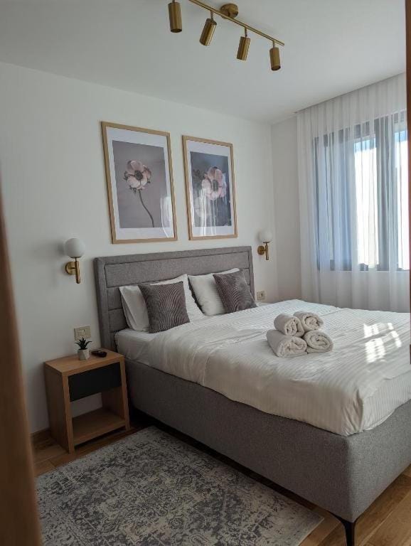 Zlatibor Vila Dunav Sauna & Free Parking Apartment in Zlatibor
