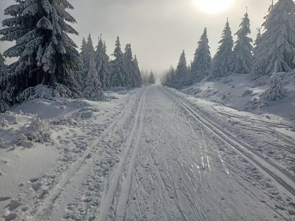 Winter, Skiing