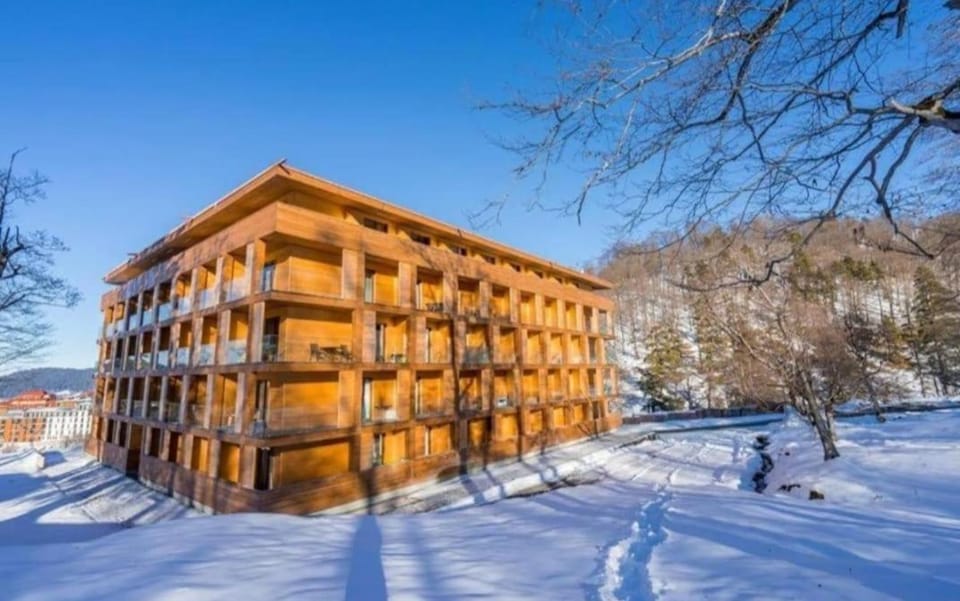Property building, Day, People, Natural landscape, Winter, group of guests