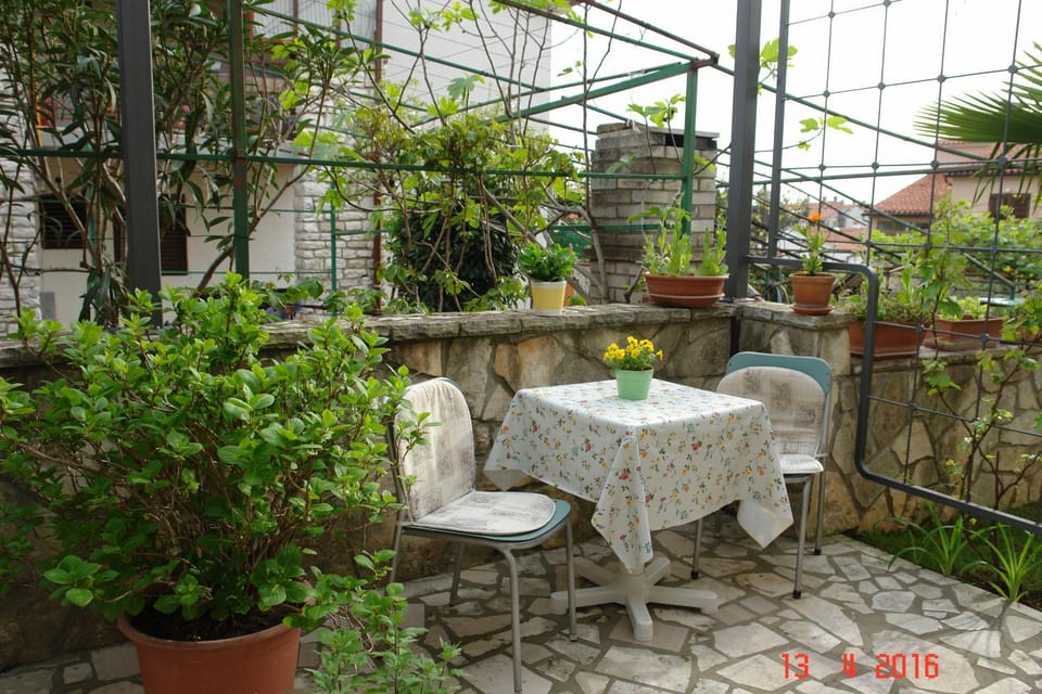 Patio, Day, Garden