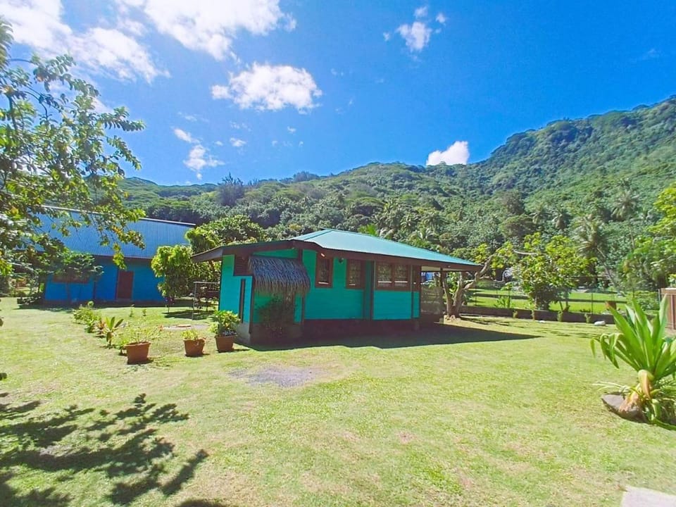 Natural landscape, Garden, Garden view, Mountain view