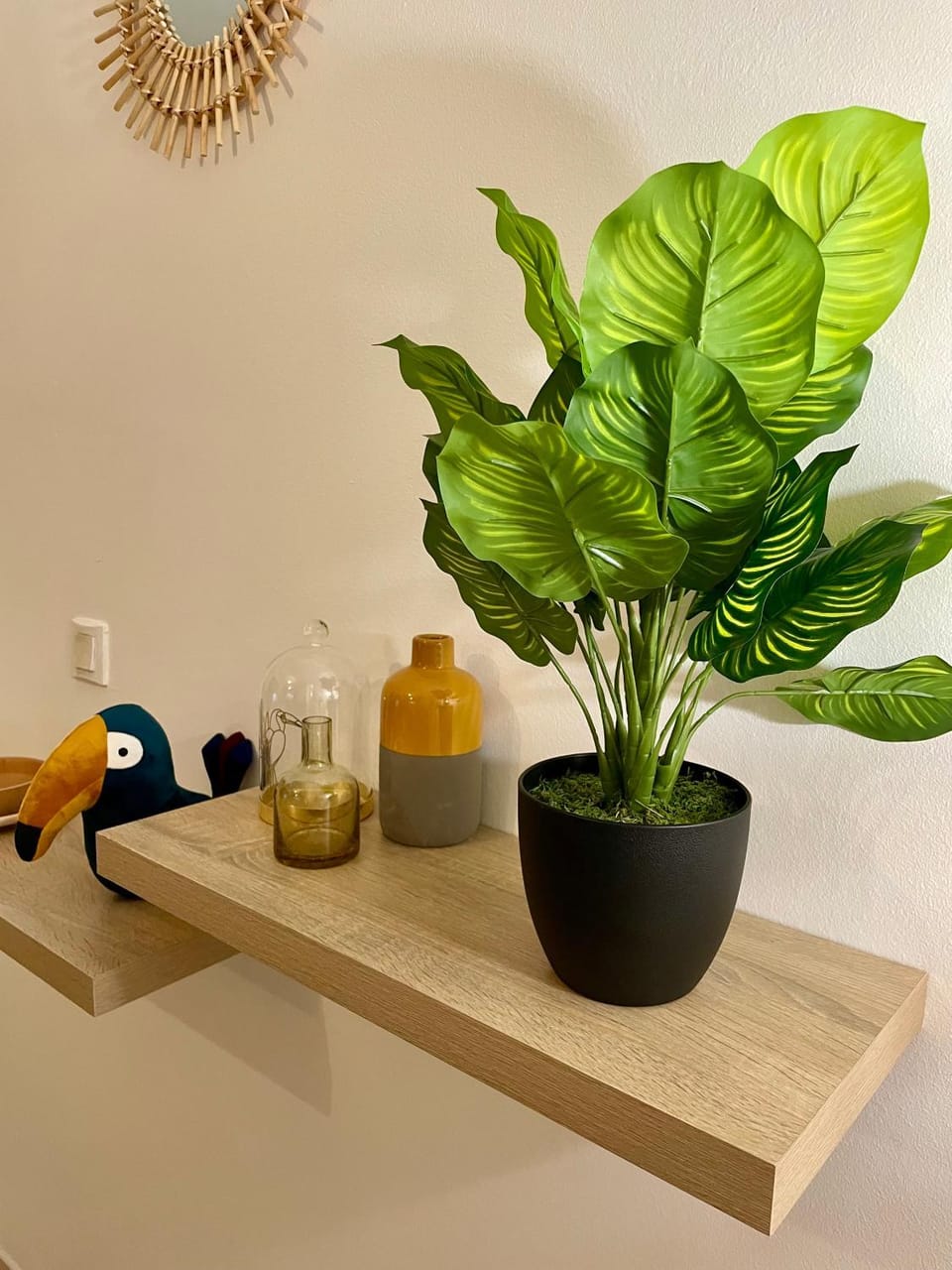 Le Toucan Tropical, F2 bis emplacement central Apartment in Fort-de-France
