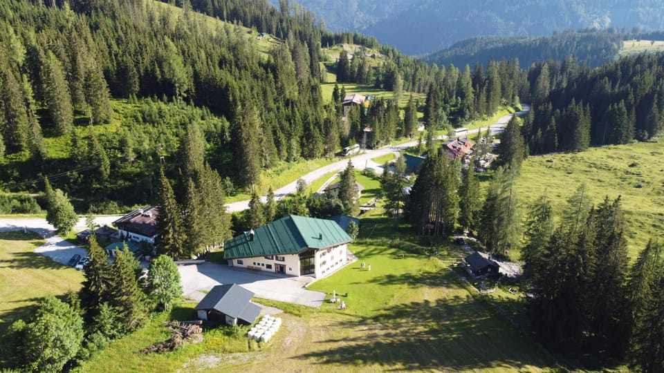 Bird's eye view, Summer