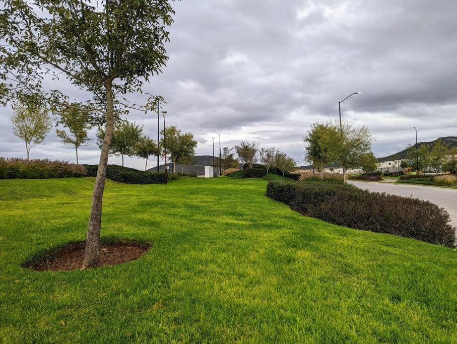 Natural landscape, Garden, Mountain view