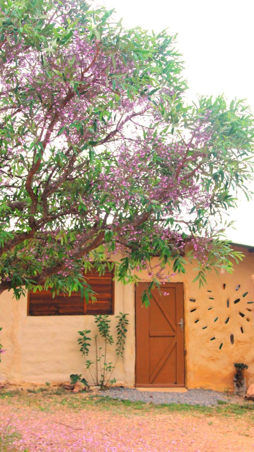Day, Garden