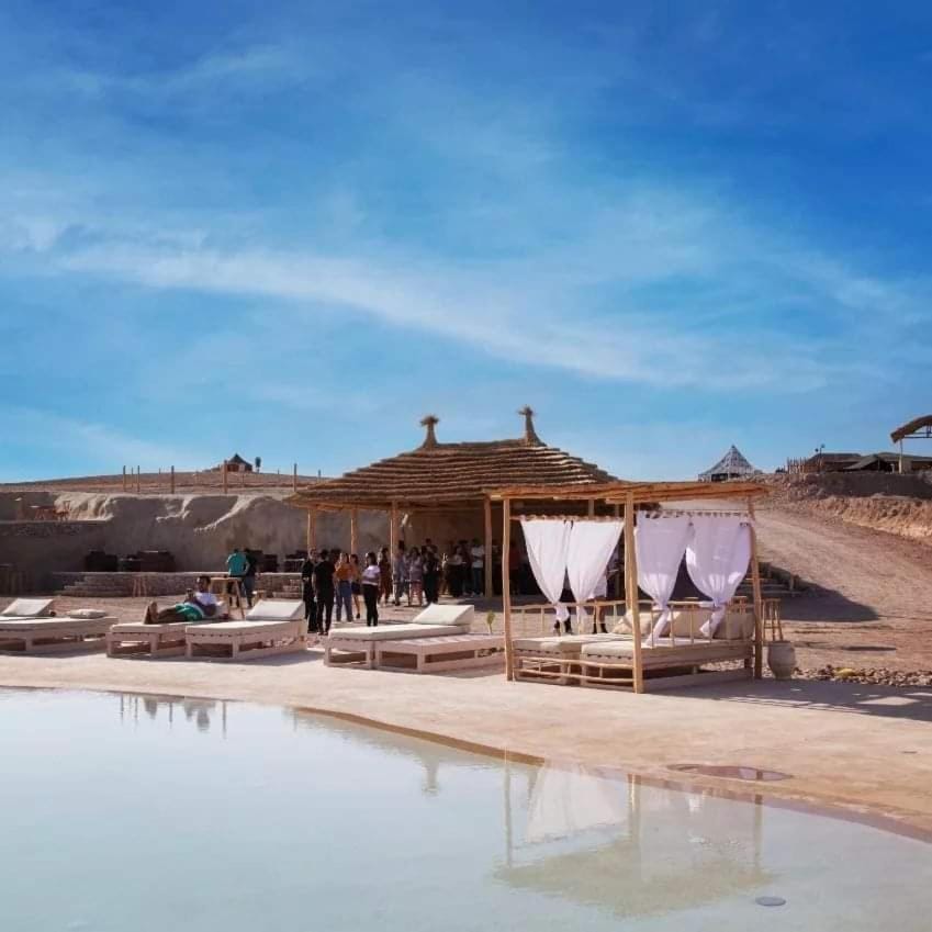 Day, People, Beach, Pool view, Swimming pool, group of guests, sunbed