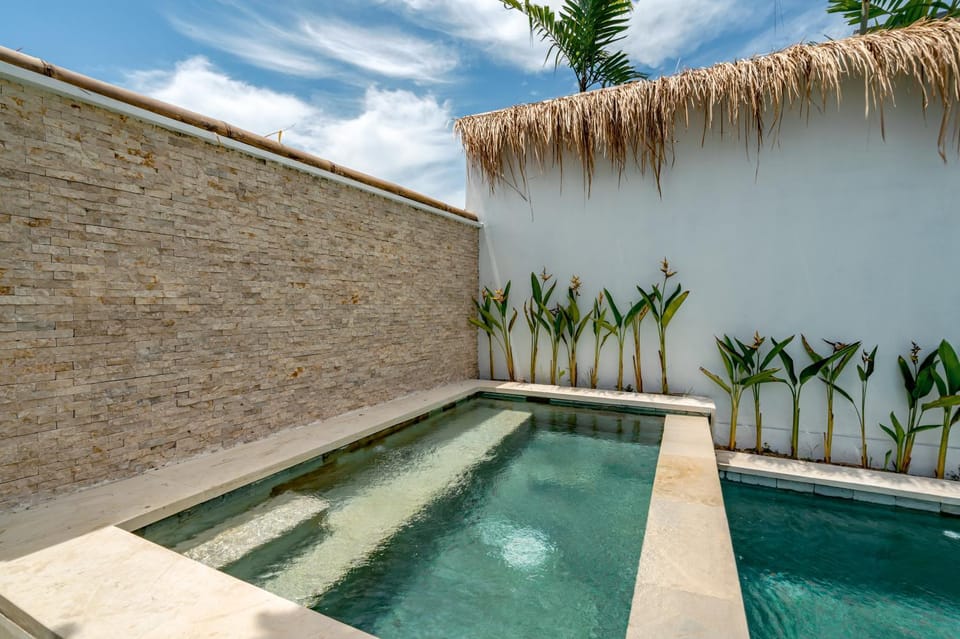 Day, Garden, Pool view, Swimming pool