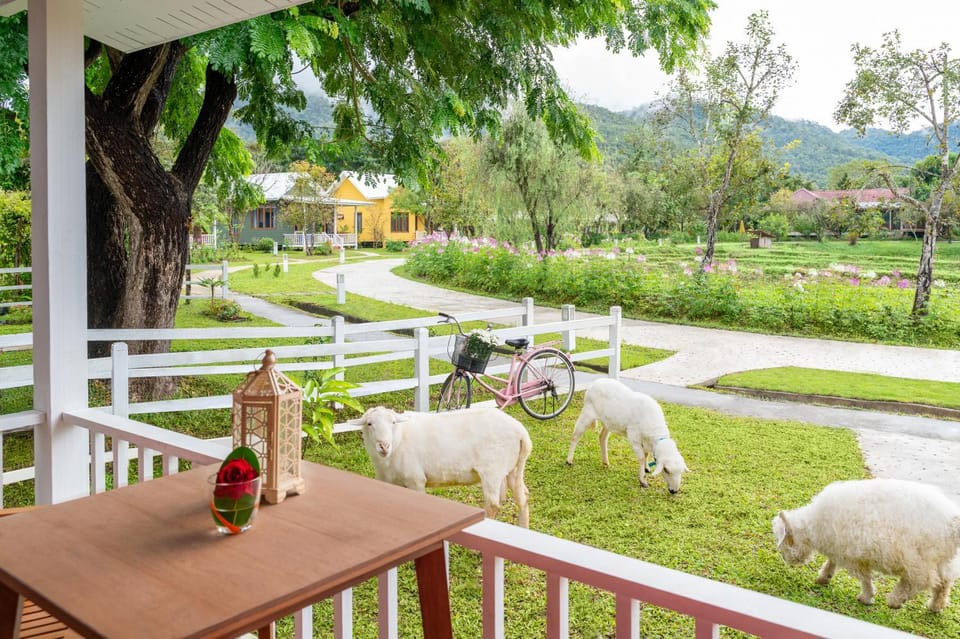 Garden, View (from property/room), Animals, Garden view, Mountain view