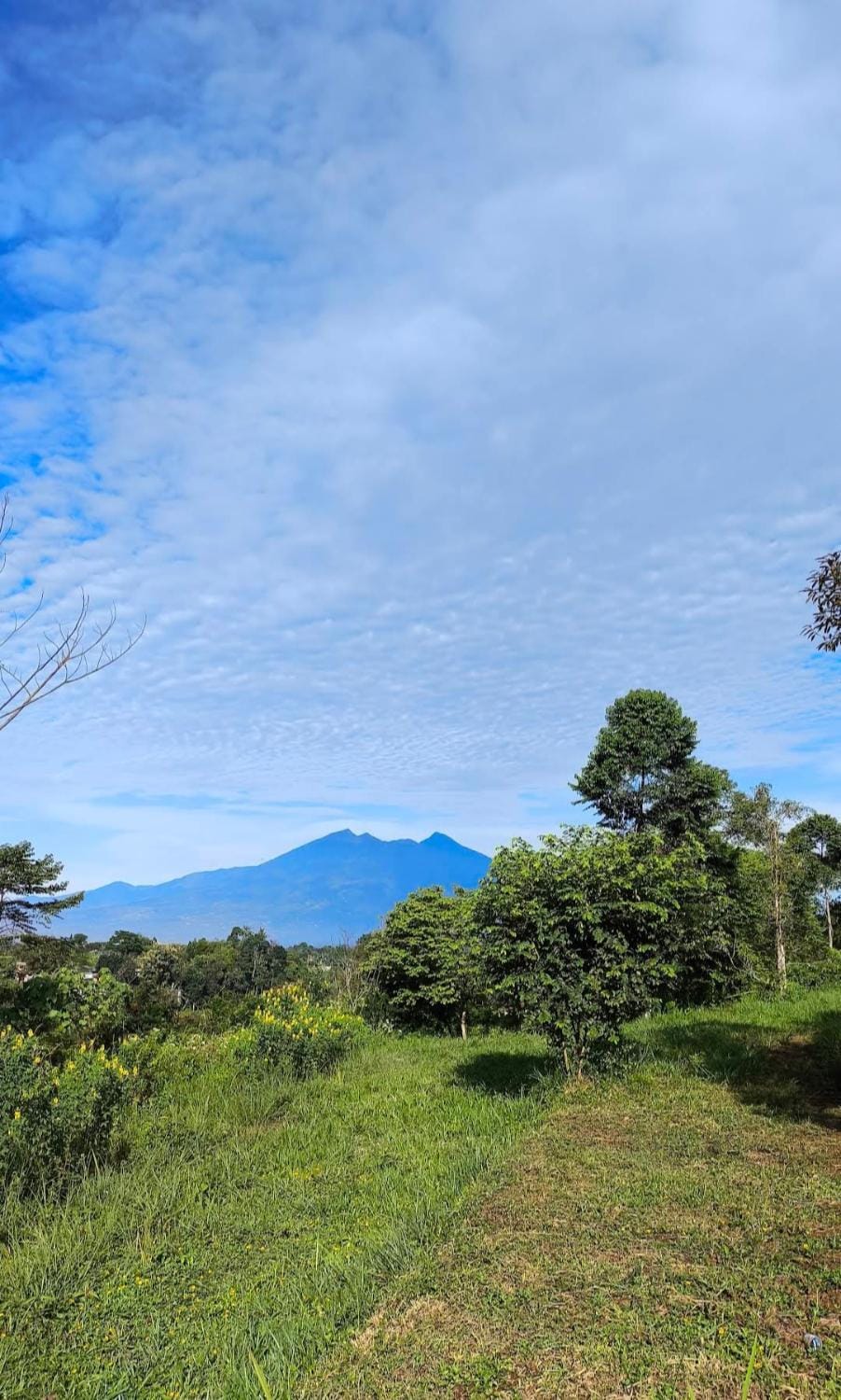 Villa Kalista Villa in Cisarua