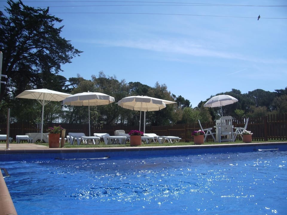 Swimming pool, Swimming pool