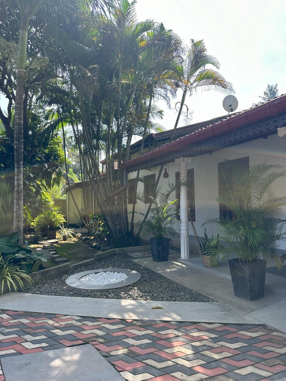 Garden view