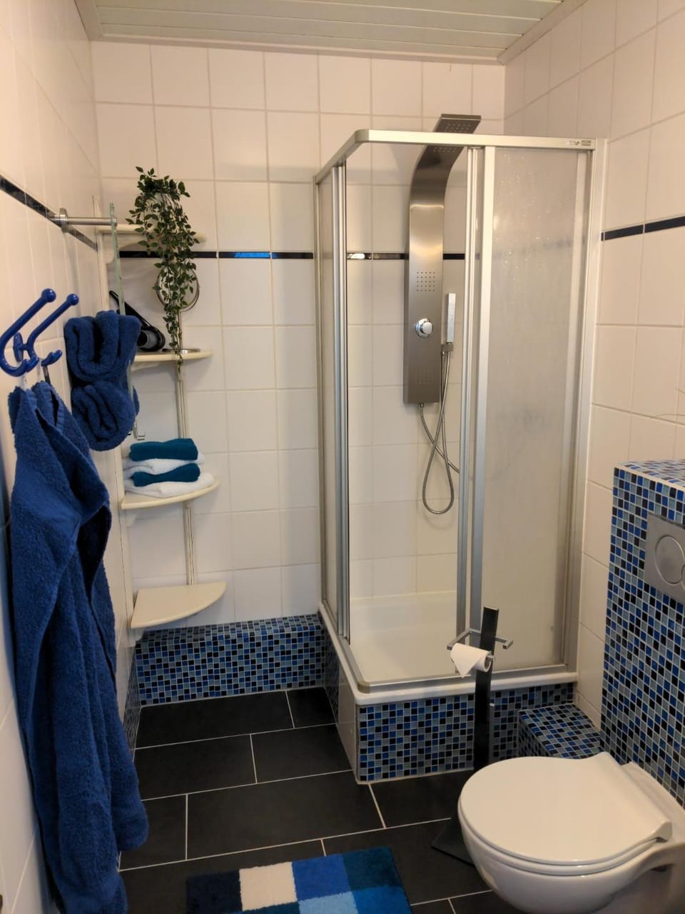Shower, Toilet, Bathroom, towels