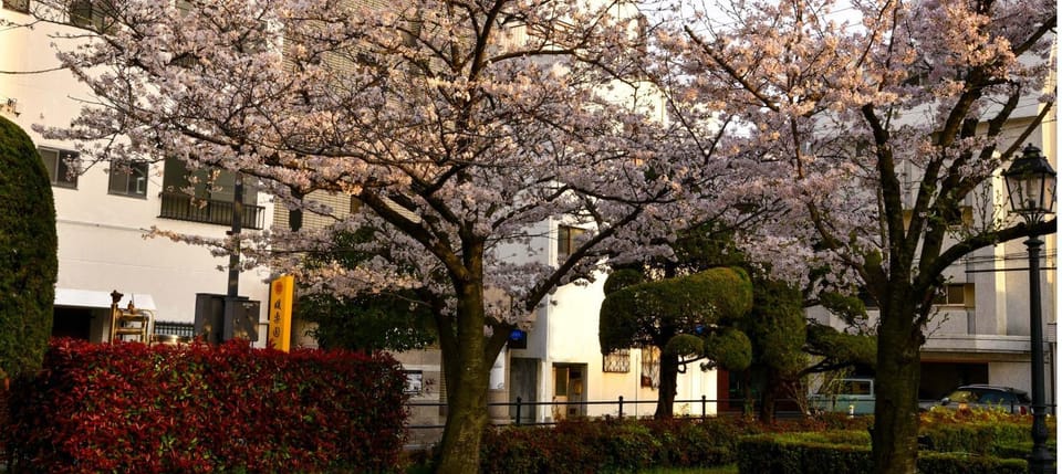 Property building, Spring, Garden view