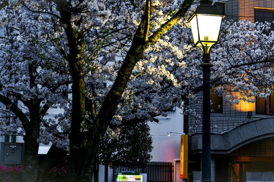 Property building, Spring