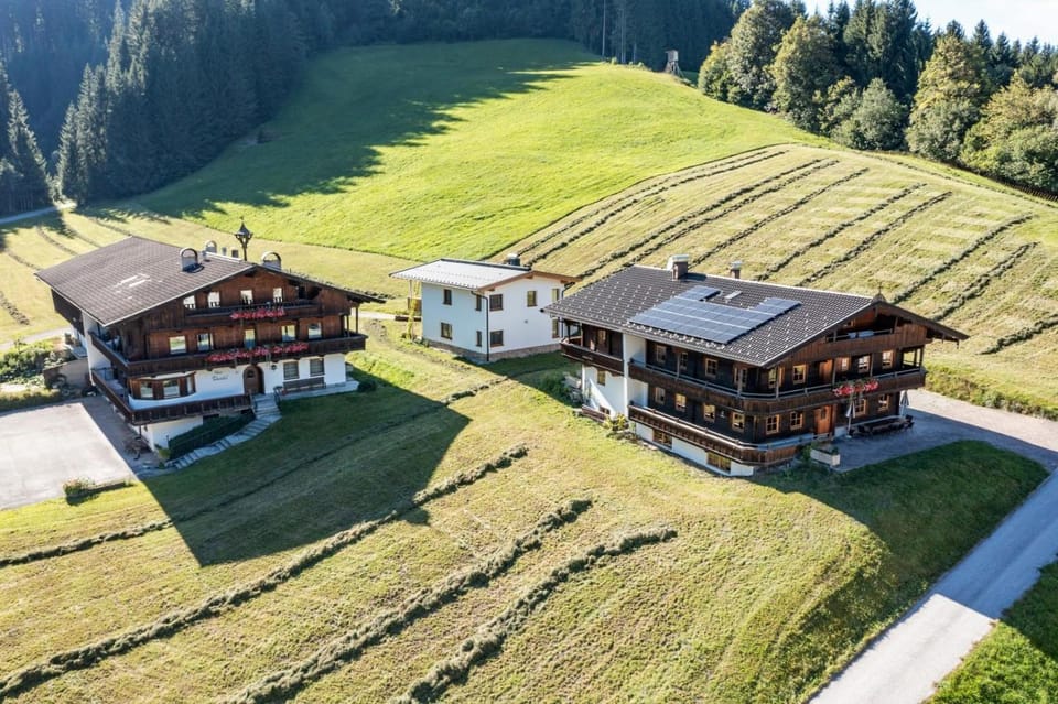 Property building, Natural landscape, Summer, Garden, Area and facilities