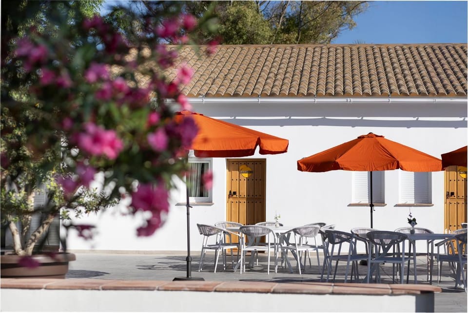 Finca La Familia Naranja Bed and Breakfast in Sierra de las Nieves