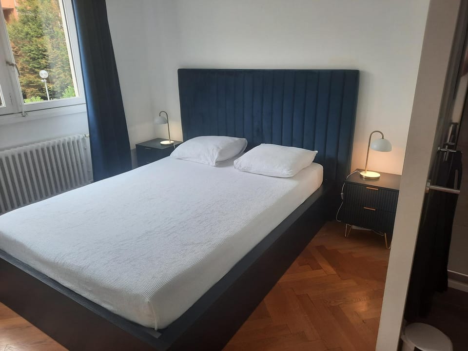 Guillaume Cityscape Vacation rental in Lyon