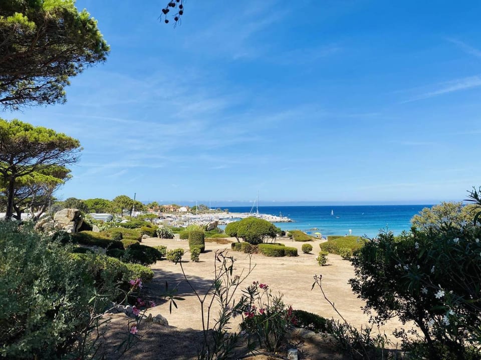 Beach, Garden view, Sea view