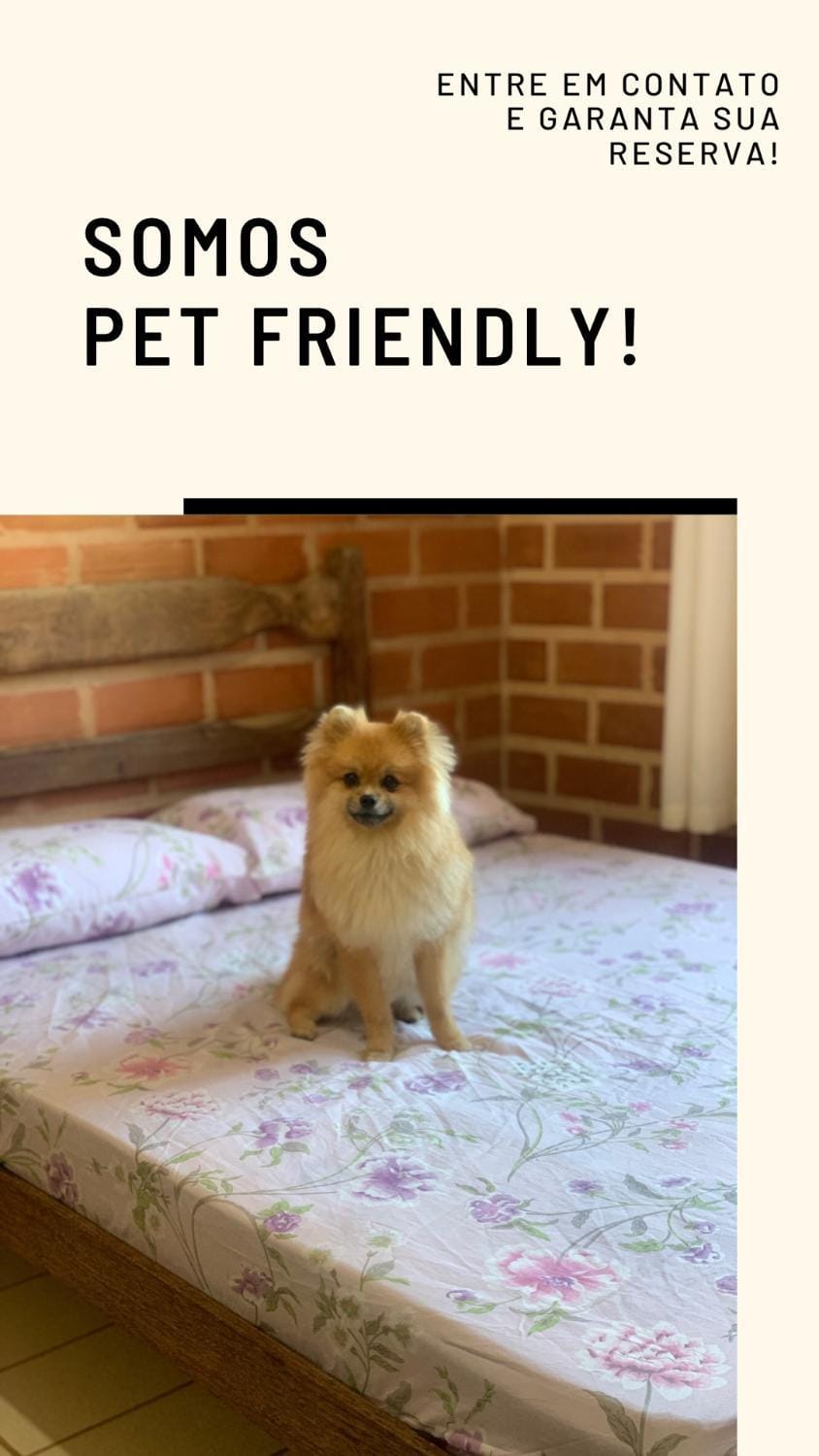 Animals, Pets