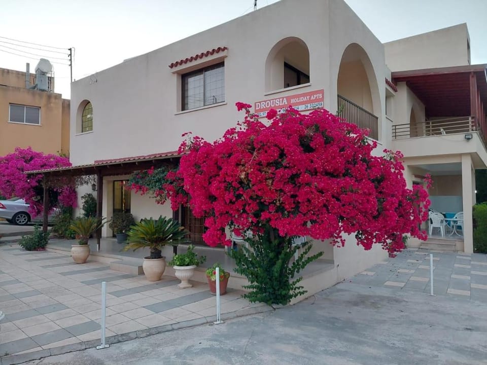 Droushia Holiday Apartments Apartment in Paphos District