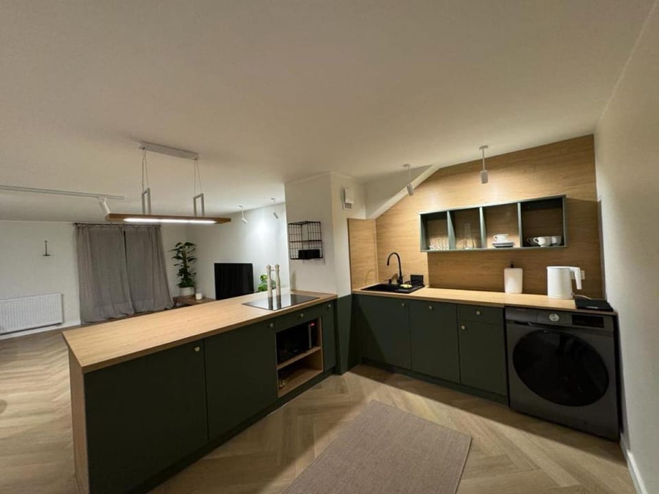 Kitchen or kitchenette, dishwasher, minibar, pet friendly, stove