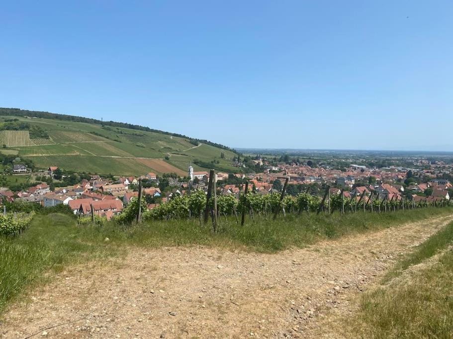 Charmant appartement 4/6 pers. Apartment in Grand Est