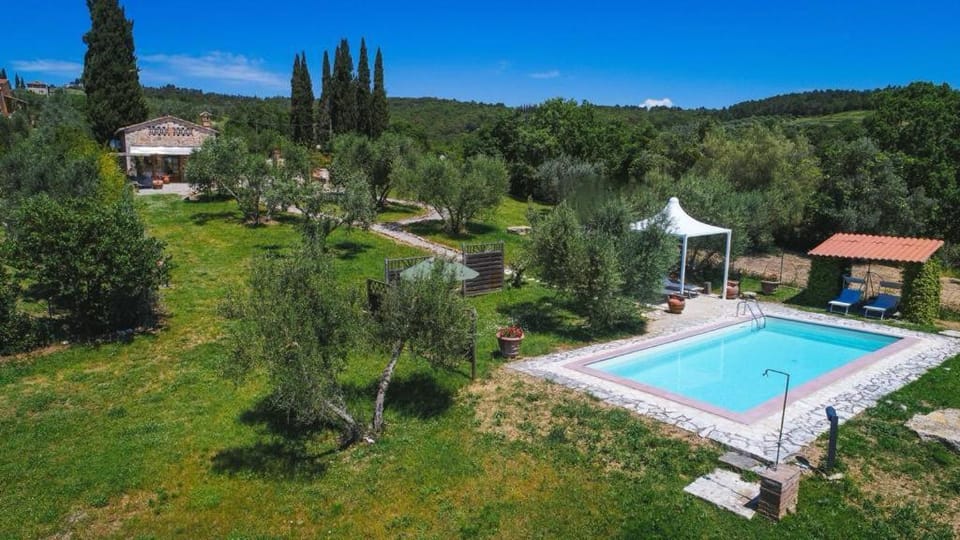 Natural landscape, Garden, Garden view, Swimming pool, sunbed