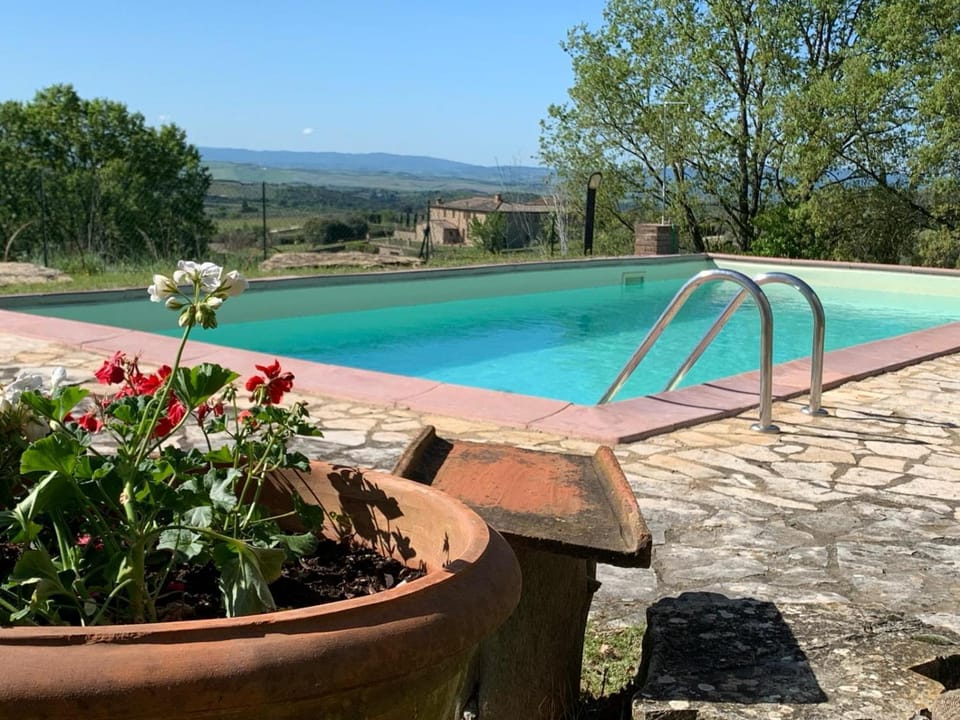 Natural landscape, Garden, Pool view, Swimming pool, sunbed