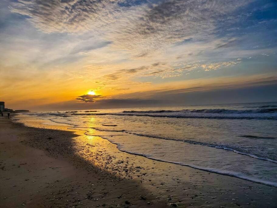 Gorgeous views, Oceanfront, Pool,The Driftwood! Apartment in North Topsail Beach