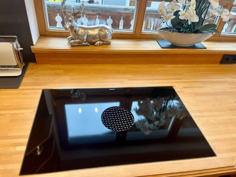 Wilderer Luxus App im Ferienhaus Magdalena Apartment in Mittenwald