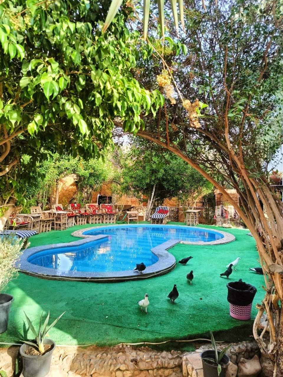 Dream Lodge Siwa دريم لودج سيوة Hotel in Egypt