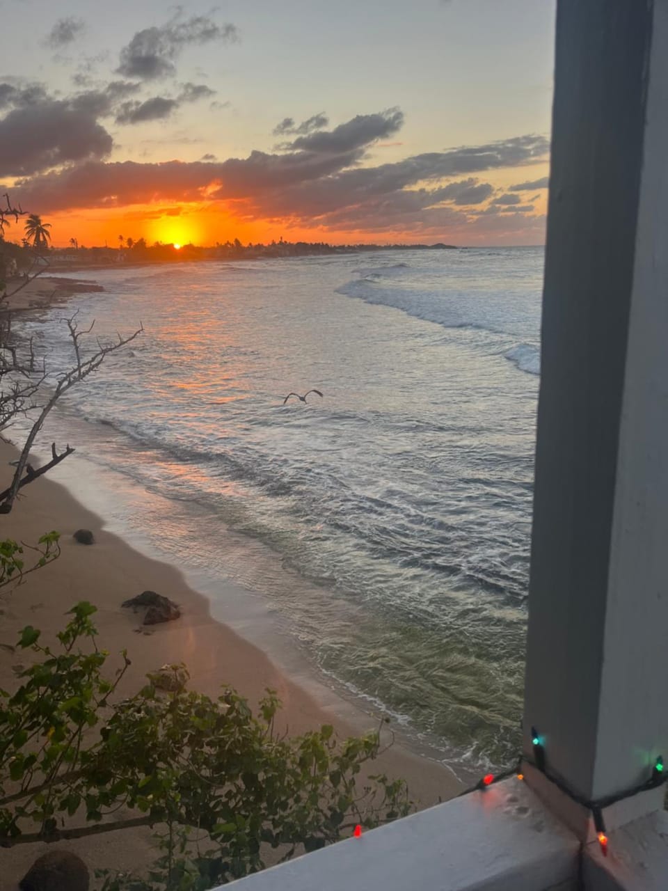 Sea view, Sunset