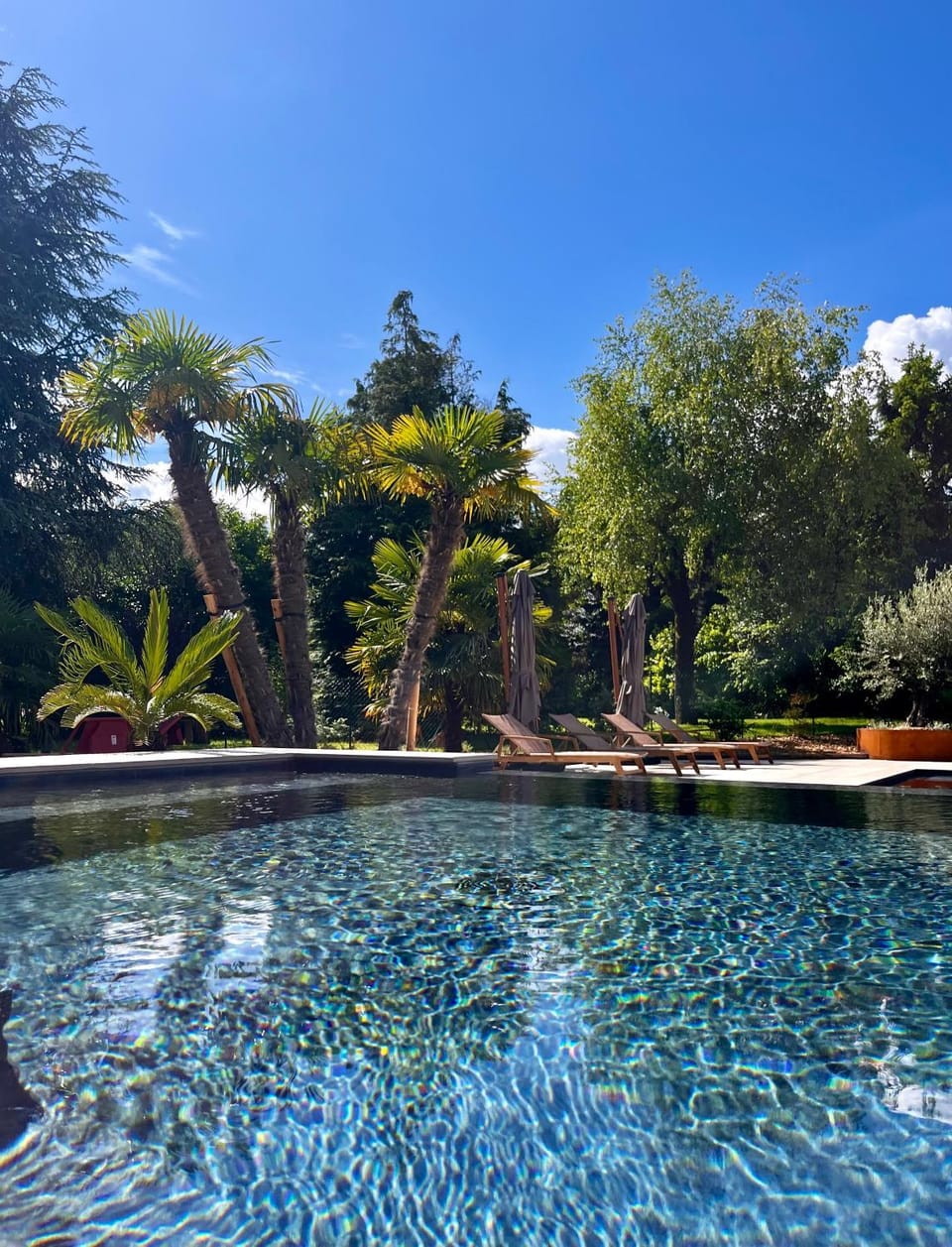 Garden, Spa and wellness centre/facilities, Swimming pool, sunbed