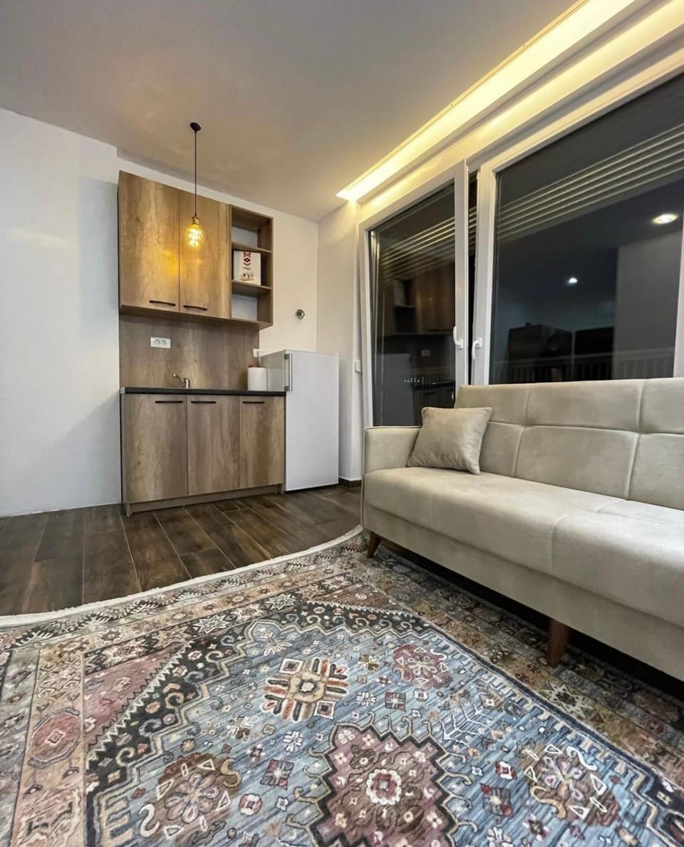 Studio Apartment in the heart of the city Peja Apartment in Montenegro