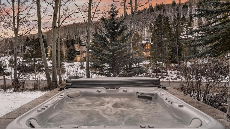 Bergrose Lodge House in Vail