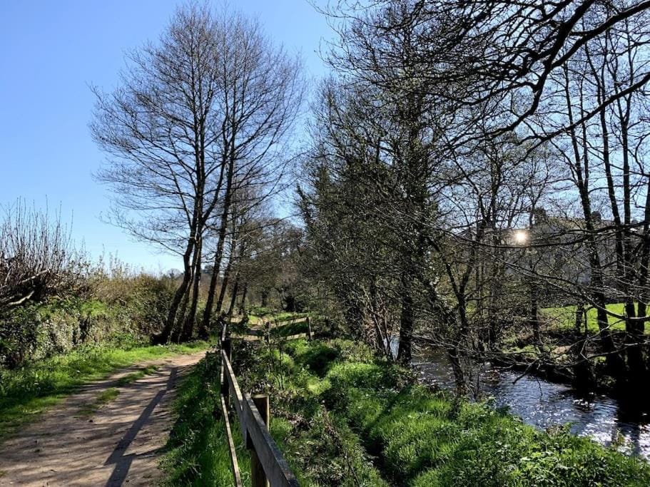 Natural landscape, River view