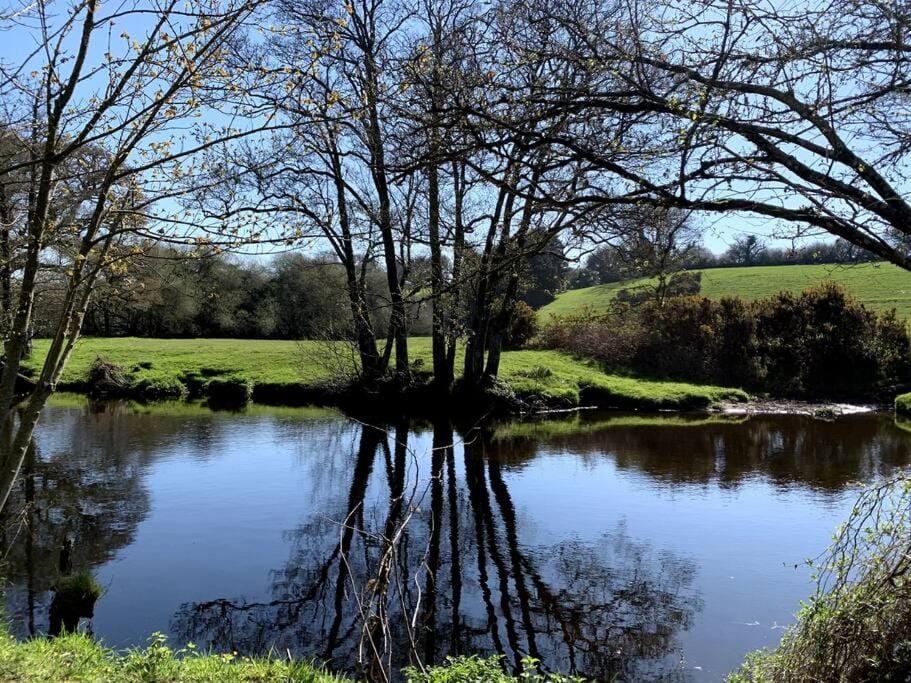 Natural landscape, River view