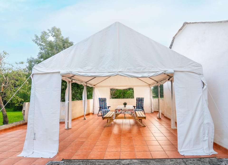 Patio, Spring, Day, Garden, Dining area, Garden view, sunbed