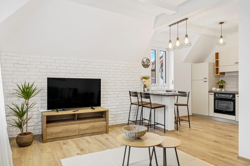 TV and multimedia, Kitchen or kitchenette, Dining area, minibar, pet friendly, stove
