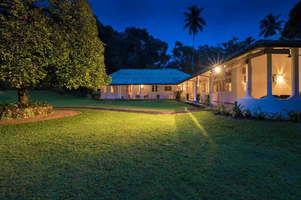 Property building, Night, Natural landscape, Garden, Garden view