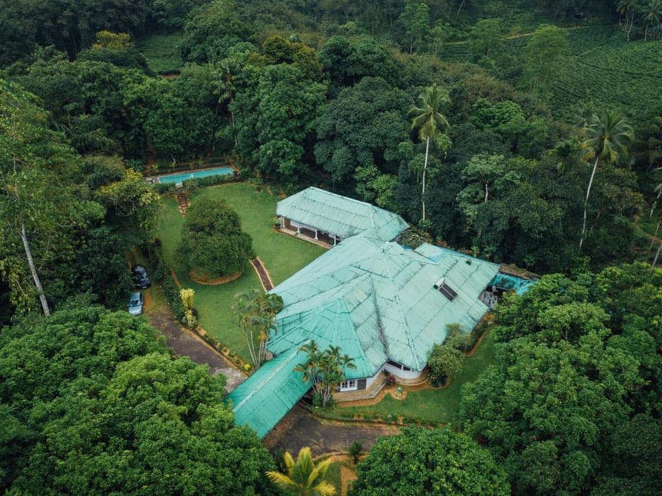Natural landscape, Bird's eye view, Garden, Garden view