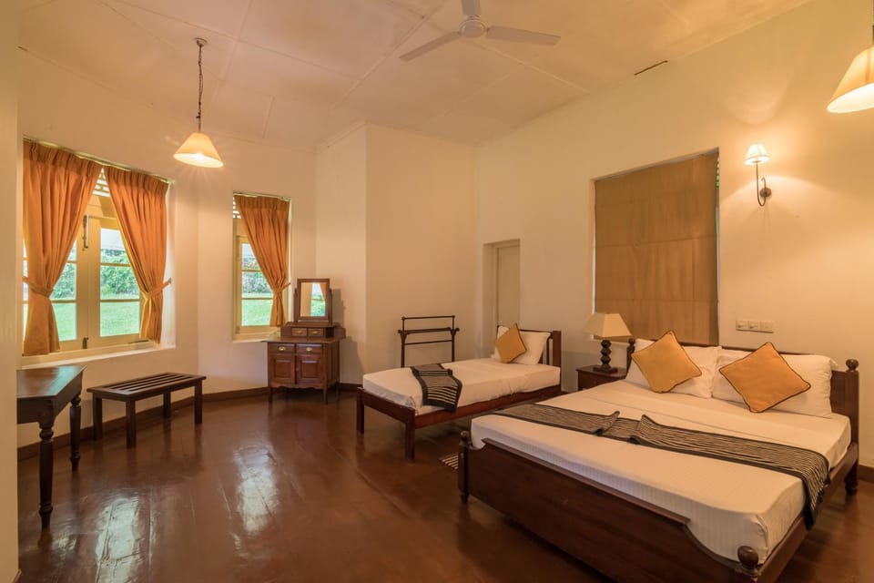Bed, Living room, Photo of the whole room, Bedroom, fireplace