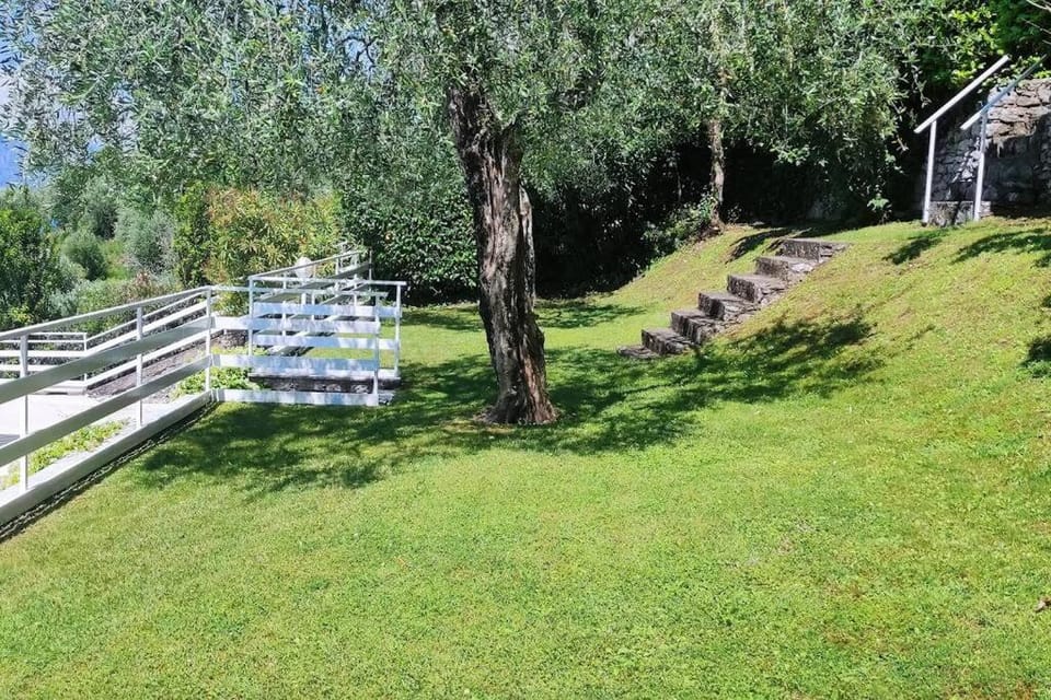 Natural landscape, Garden, Garden view