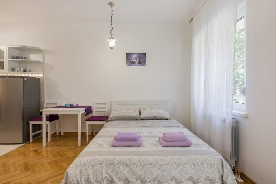 Studio apartment Duda Apartment in Belgrade