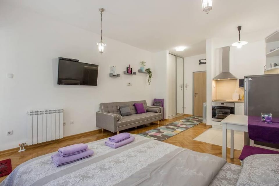Studio apartment Duda Apartment in Belgrade