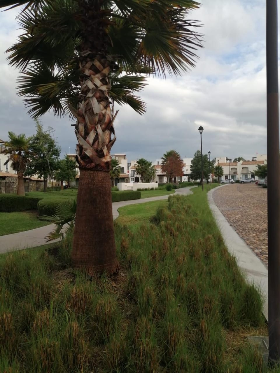 Natural landscape, Garden