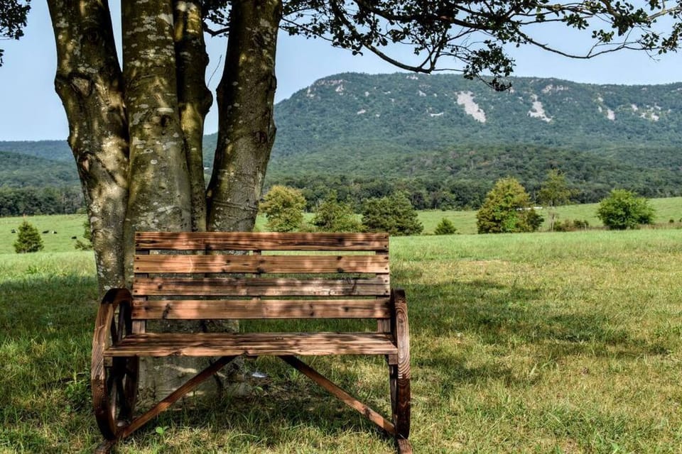 Mountain view