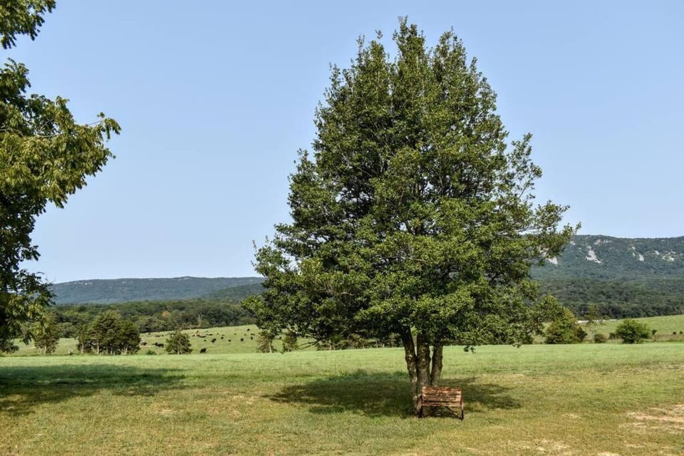 Natural landscape