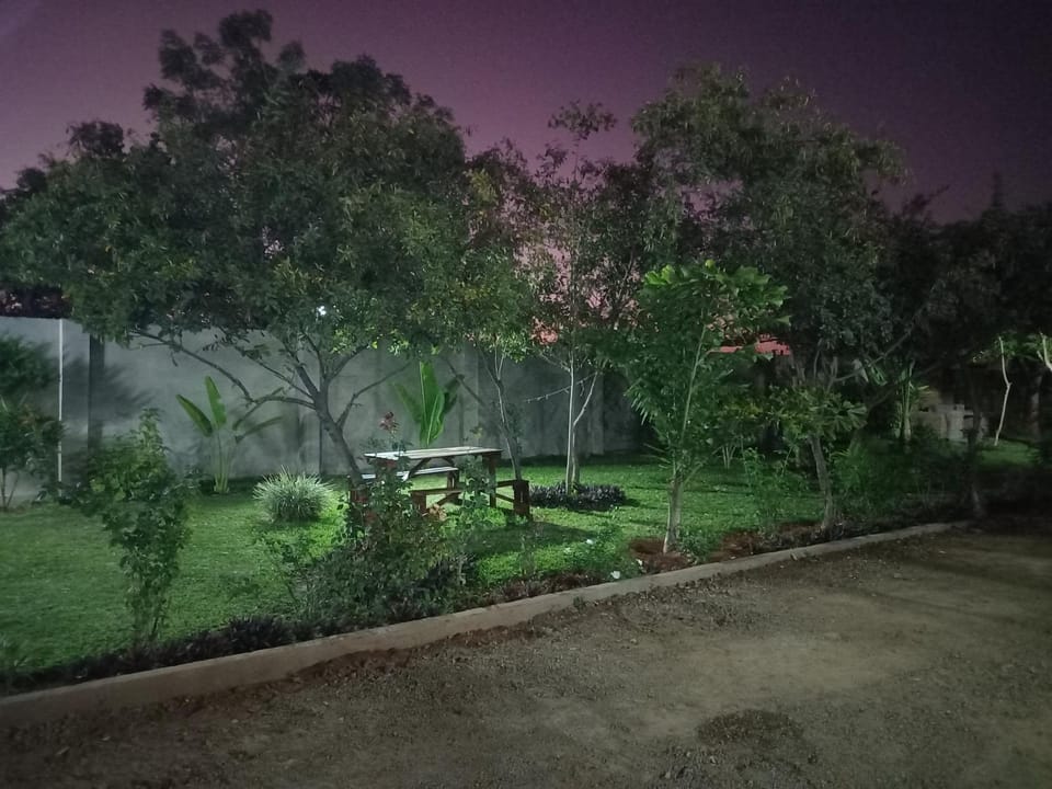 Garden view